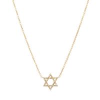 Diamond Star of David Necklace in 14K Yellow Gold (0.10ct)